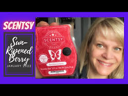 Scentsy’s Scent of the Month Sun-Ripened Berry January 2022
