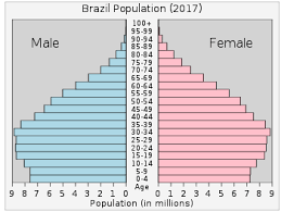Demographics Of Brazil Wikipedia