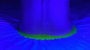 See more ideas about speech therapy, speech, speech and language. Like A Real Veil Like A Bad Analogy Dissociative Style And Trans Aesthetics Journal 117 April 2021 E Flux