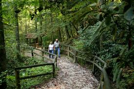 Natural bridge state resort park is a kentucky state park located in powell and wolfe counties along the middle fork of the red river, adjac. Natural Bridge State Resort Park Kentucky Living