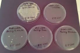 I use their body pack towel set instead of body wash in the shower. What Is The Best Way To Sterilize A Cleaning Cloth Dr Annie S Experiments