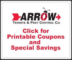 Far from being just disgusting and annoying. Arrow Pest Control