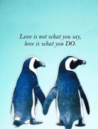 Summer is a latvian chicken. 55 Penguin Love Quotes Ideas In 2021 Penguin Love Penguins Penguin Love Quotes