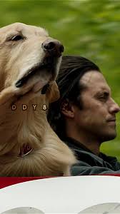 «If only I could speak, I would tell him not to worry»💔#miloventimiglia  #theartofracingintherain #enzo #энцо #невероятныймирглазамиэнцо  #майловентимилья