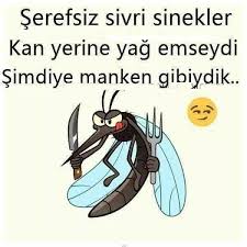 Seda Firat Belli Adli Kullanicinin Oradan Buradan Panosundaki Pin Komik Seyler Komik Alintilar Mizah