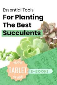 This hardcover book has 326 photographs in full color of cactus and succulents. 32 Succulent Cactus Ebooks Ebook Ideas Planting Succulents Succulents Succulent Garden Diy