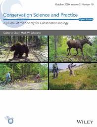 Image result for Rytigynia ruwenzoriensis