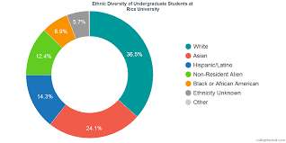 Rice University Diversity Racial Demographics Other Stats
