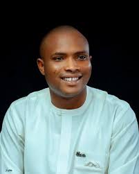 Zimbabwe opposition party strategies and politician criticism