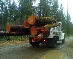 This not only keeps the wood dry, but it also means better, more efficient burning. Pennysaver Firewood For Sale Logs 5 Yard Dump Log Truck Loads Puget Sound Washington In King Washington Usa