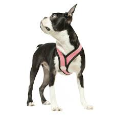 Comfort X Dog Harness By Gooby Pink