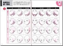 Next, you can start carving out your chin, and connect the neck. How To Draw Manga Female And Male Faces Reference Book
