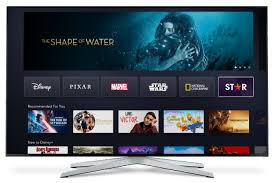 What Is Disney S Other Streaming Service Star And Can You Get Star In The Us The Disney Food Blog