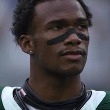 Fantasy Logos You Need Garrett Wilson