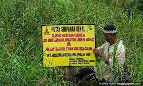 Penggunaan jalan hutan, melepaskan ternakan; Hutan Simpan Kekal In English Apa Erti Hidup Kami Tanpa Hutan Gabungan Pertahankan Hutan Simpan Kuala Langat Utara Phsklu Medesak Penarikan Semula Cadangan Untuk Penyahwartaan Hutan Simpan Penyahwartaan Hutan Ini