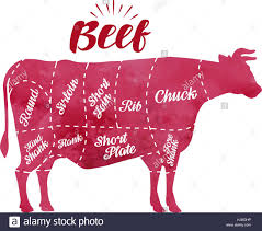 Diagram Cutting Cow Meat Butcher Shop Bull Beef Vector