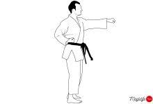 perfect standing shotokan karate punch