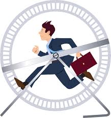 Rat Race Hamster Hamster Wheel Hamster Habitat