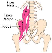 The back muscles can be three types. Tight Hip Flexors And Back Pain Knee And Foot Pain The Biomechanics Method