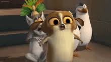 The movie is much too safe to follow its paradoxes to their logical conclusion, and that's probably just as madagascar (2005). Madagascar Movie Mort Gifs Tenor