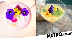 Free shipping on orders over $25 shipped by amazon. M S Is Now Selling Edible Flowers To Spruce Up Your Summer Cocktails Metro News