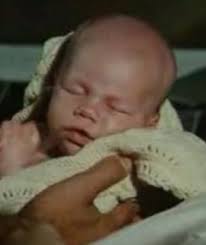 La Prateria di Laura Ingalls Wilder