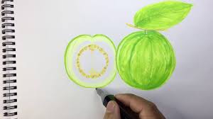 How To Draw A Guava Pencil Drawing Academy Pencil Drawings Drawings Drawing Videos Check out our pencil drawing selection for the very best in unique or custom, handmade pieces from our pencil shops. pinterest