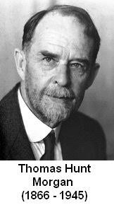 Sandwalk: Nobel Laureate: Thomas Hunt Morgan