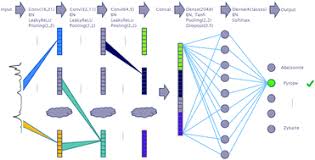 Convolutional neural networks are very similar to ordinary neural networks from the previous chapter: Deep Convolutional Neural Networks For Raman Spectrum Recognition A Unified Solution Analyst Rsc Publishing