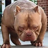 Alibhai & associates advocates, where she specialized on a broad. 60 Paul Lee Profiles Linkedin