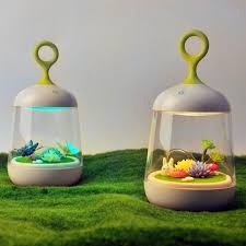 Miniature Garden Grow Light Terrarium Night Light Plant Night Night Light Plant Lighting