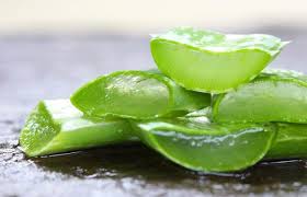 маски для лица в домашних условиях от морщин с алоэ Kak Ispolzovat Aloe Vera Recepty Krasoty V Domashnih Usloviyah S Izobrazheniyami Aloe Samodelnye Maski Dlya Lica Maski Dlya Volos