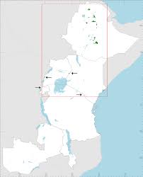 Image result for Peddiea rapaneoides