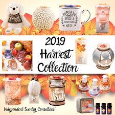 Scentsy Fall Harvest And Halloween Collection Scentsy Scentsy Facebook Party Scentsy Party