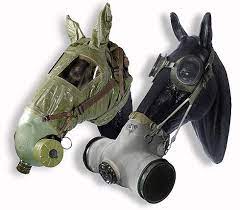 271 world war 1 gas mask premium high res photos. A Pair Of Rare Horse Gas Masks Gas Mask World War One Rare Horses