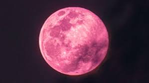 The full moon in april is traditionally known as pink moon and the full moon in may is called the flower moon in many northern hemisphere cultures. 2eyab4wuugupjm