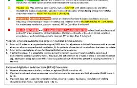 It is however mostly used in mechanically ventilated patients in orde. Https Ancc Confex Com Ancc Magnet2017 Mediafile Presentation Session2341 C427 20nan 20davidson 20ancc 20national 20magnet 20conference 202017 One 20sedation 20scale 20rass Sg 208 7 2017 20handout Pdf