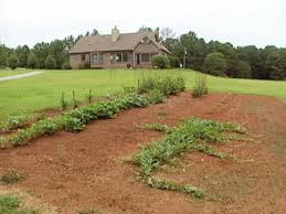 Search titles only has image posted today bundle duplicates include nearby areas birmingham, al. Selecting The Best Location For A Garden Diy