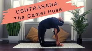 Detailed description of camel pose along with benefits, yoga sequencing ideas with pictures, contraindications basically, when a user uploads a video to youtube they are asked by youtube if they want to enable embedding of their youtube video by other sites. Ushtrasana The Camel Pose Youtube