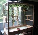 2 parrots singing and talking parrots cages <?=substr(md5('https://encrypted-tbn0.gstatic.com/images?q=tbn:ANd9GcSsySE6QUfD6HNycRgdILC2woqF2Xo0YxFqy4rhApY7K_I8dezcXQM_DAk'), 0, 7); ?>