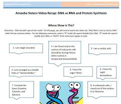 Dna Vs Rna Protein Synthesis Handout Made By The Amoeba Sisters Click To Visit Website And Scroll Biology Notes Persuasive Writing Prompts Biology Lessons
