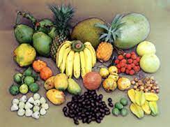 Such as summer fruits, winter fruits, rainy. Fruit Banglapedia