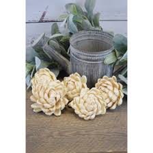 We are a movement sparking female entrepreneurship and are proudly the original, largest, and most active sola wood flower. Wood Flower New Dahlia Sola Wood Flowers Wood Roses