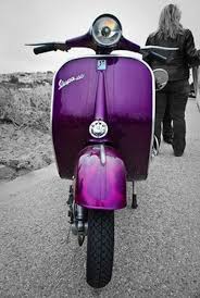 We did not find results for: Insurance Blog About Scooter Insurance Rightsure The Right Insurance From Pets To Jets