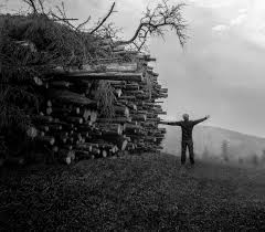 Pour les articles homonymes, voir trait. Ingouvernable Comme Une Foret Terrestres