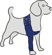 Learn more about dog front leg injury at petmd.com. Mps Taz Single Front Leg Sleeve Dog Medical Pet Shirts