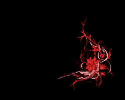 Red and black flowers wallpaper open walls. Free Download Red And Black Flower Background 1024x819 For Your Desktop Mobile Tablet Explore 54 Red Flower Black Background Red Flower Black Background Red Flower Background Red Flower Wallpaper