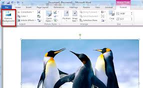 Click the arrow to the right of the shading button in the paragraph section of the ribbon, then click. Remove Background Of Picture In Ms Word 2013 Netscope Technologies