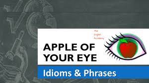 The apple of one's eye originally referred to the central aperture of the eye. Apple Of Your Eye Idiom Meaning And Use In Sentences Youtube
