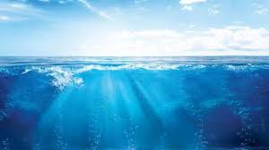 8 de junho dia mundial dos oceanosmas não temos o que comemorar e sim reparar os danos causados pelo lixo e plástico jogados irresponsavelmente no mar.a cel. Dia Mundial Dos Oceanos Assinala Importancia Da Inovacao Para A Sustentabilidade Dnoticias Pt
